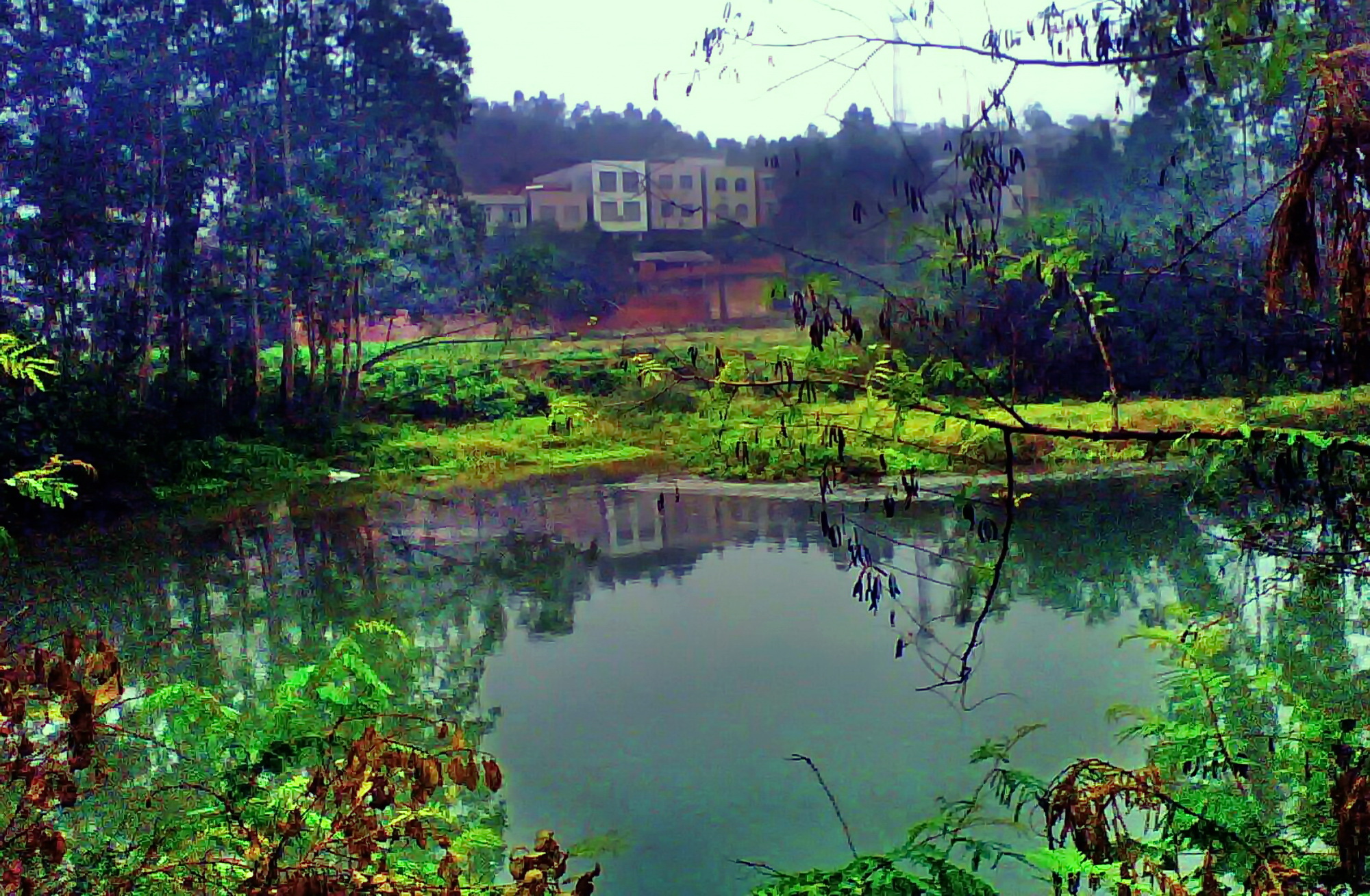 广西博白县龙潭镇