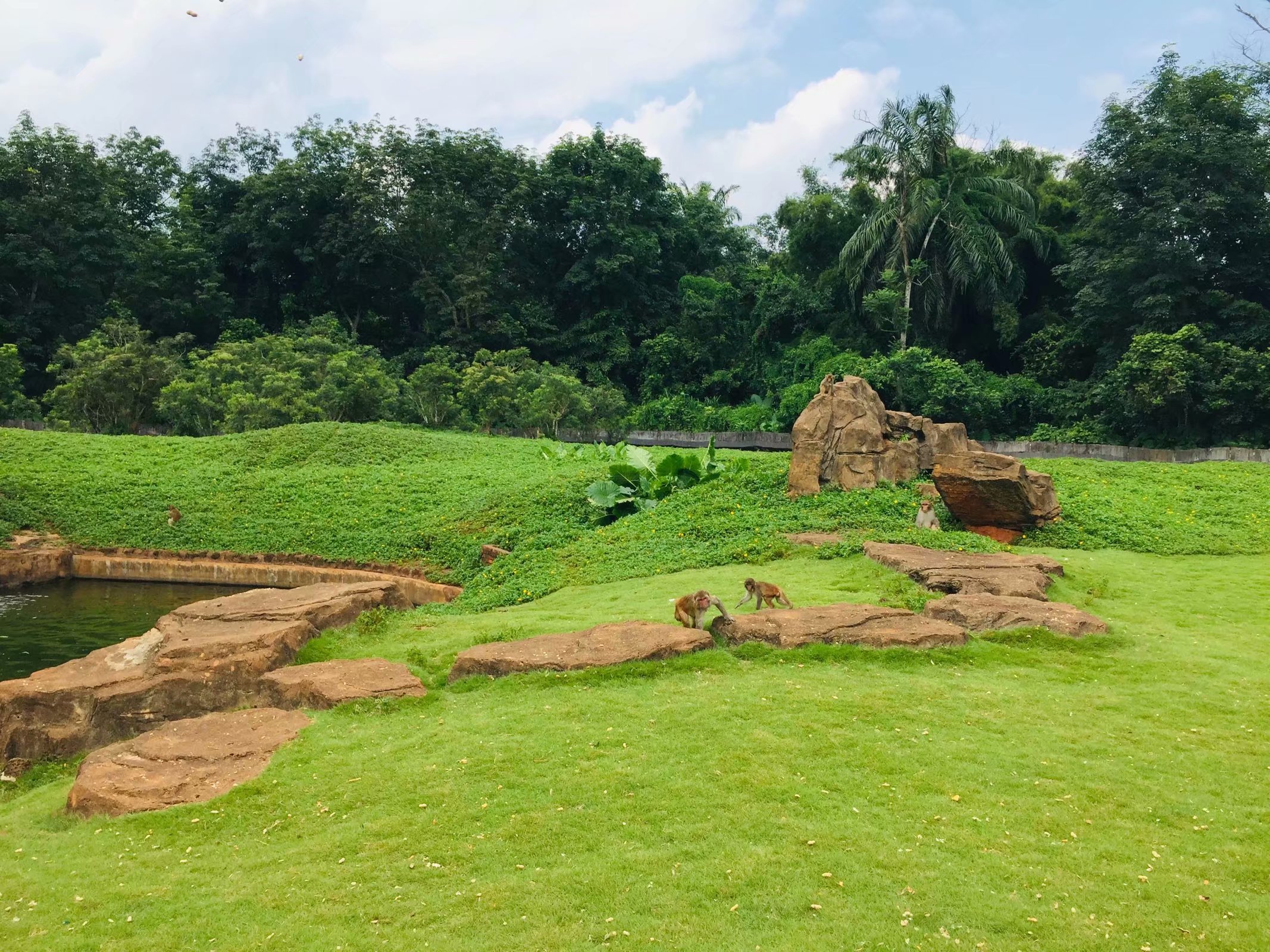  p>海南热带野生动植物园,是中国集珍稀野生动植物科普博览,保护繁殖