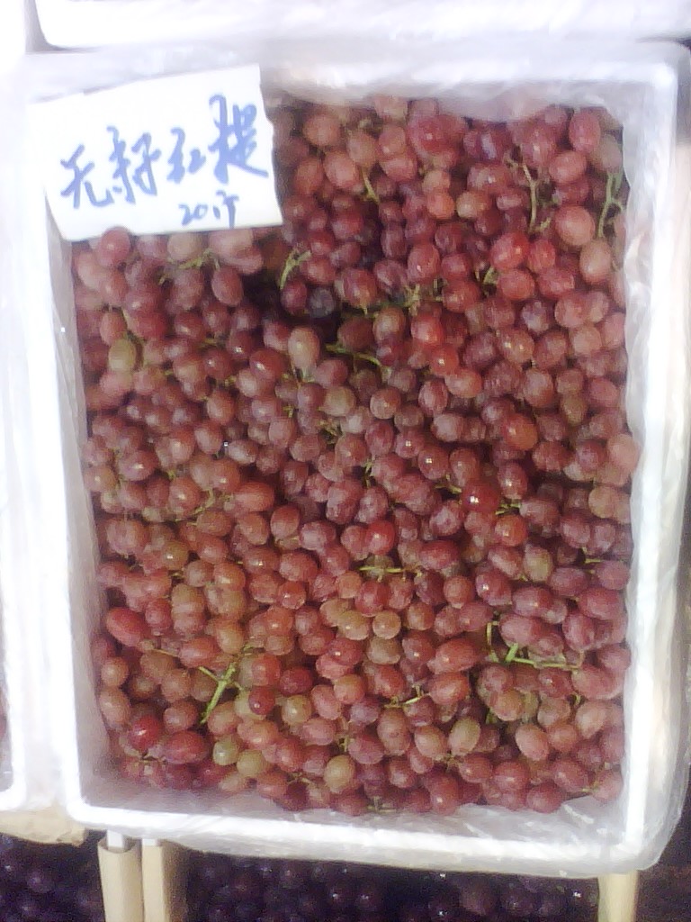 美国珍珠无核小红提