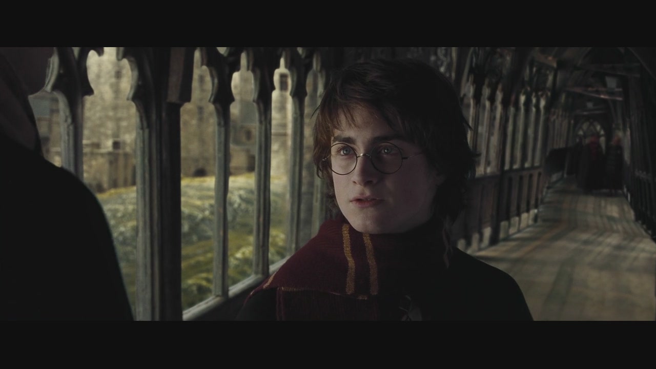 哈利·波特与火焰杯