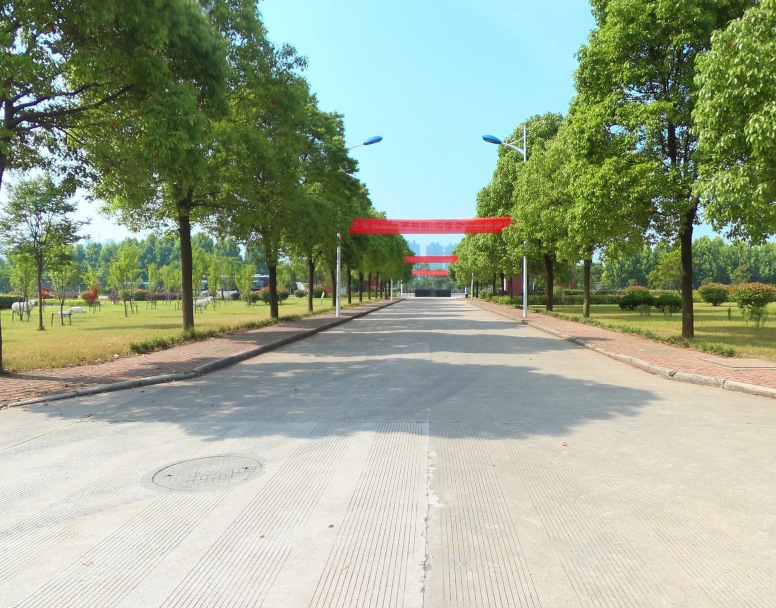 安庆外国语学校