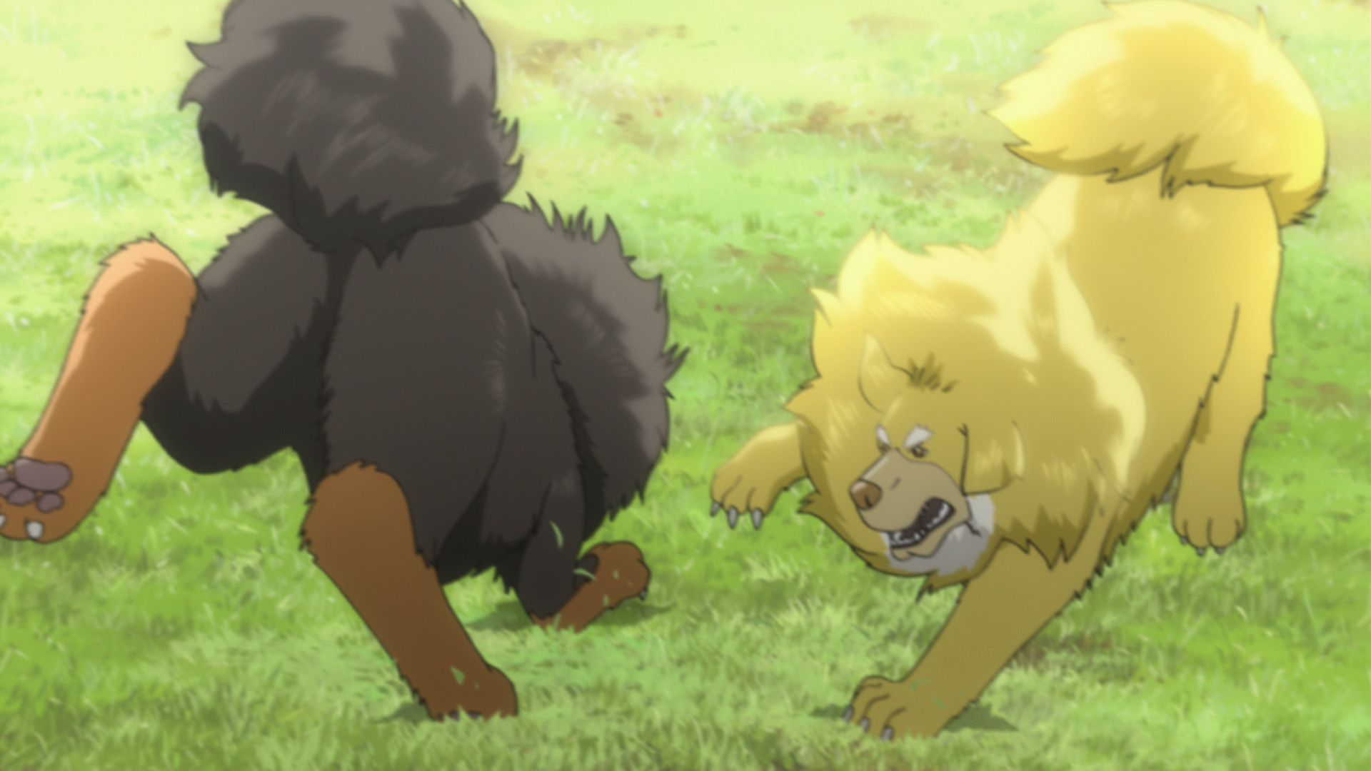  p>《藏獒多吉》是由中日首次合拍的一部动画冒险电影,由 a href="#"