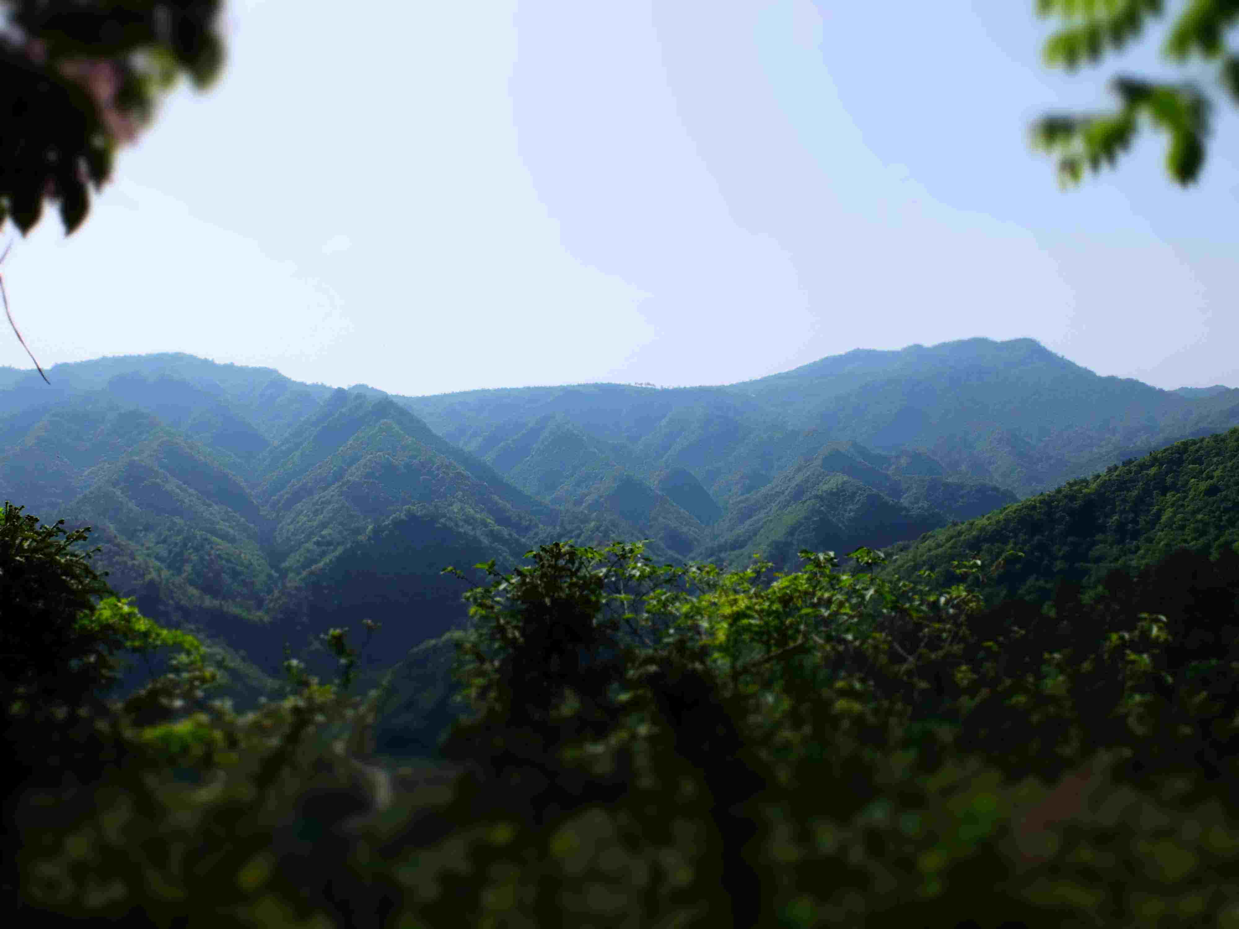 白马山森林公园