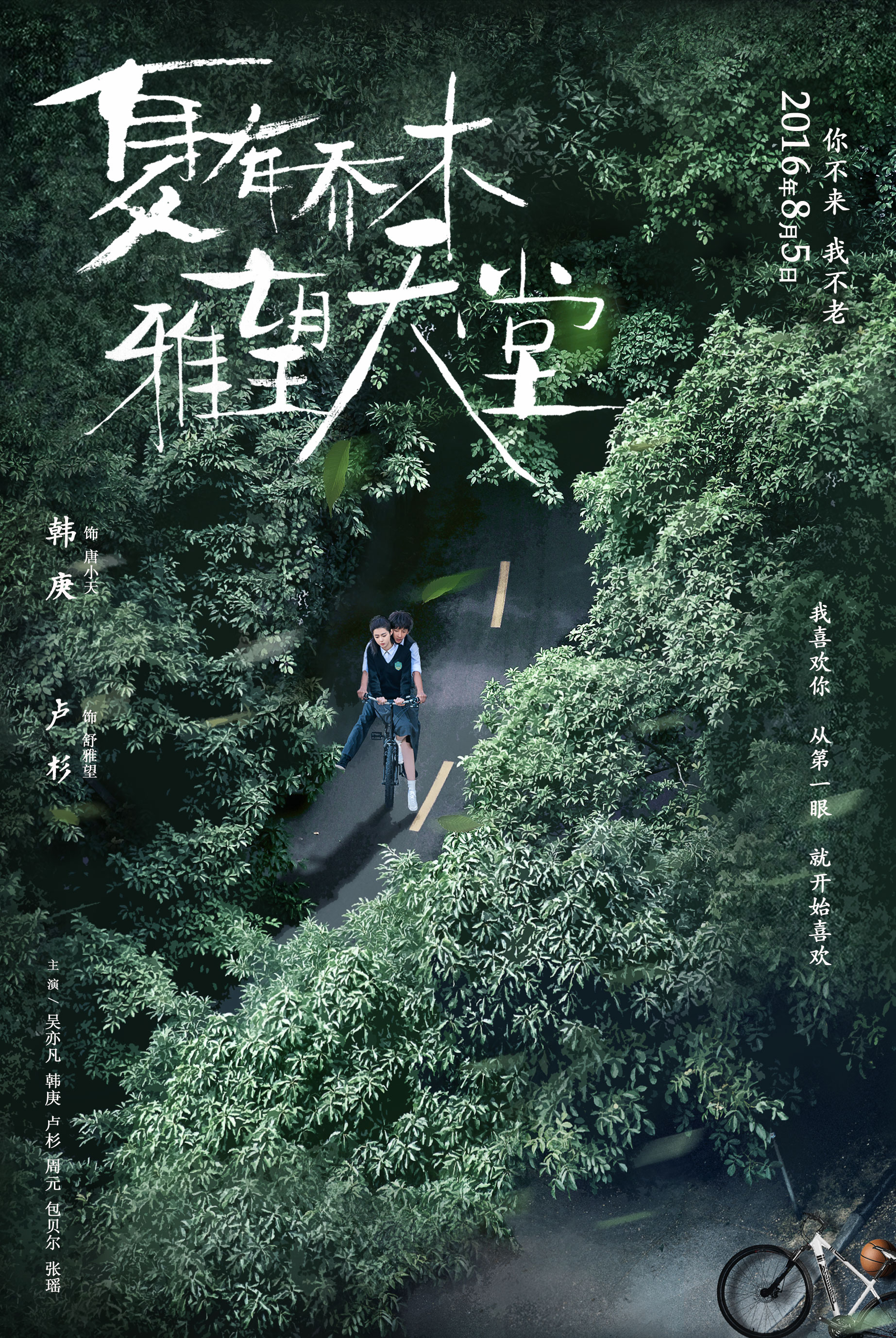 夏有乔木雅望天堂