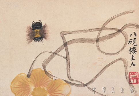 飞虫