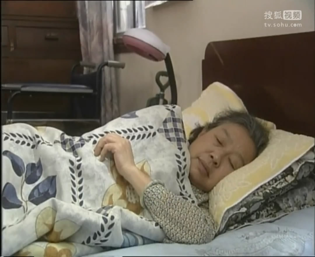 田教授家的二十个保姆