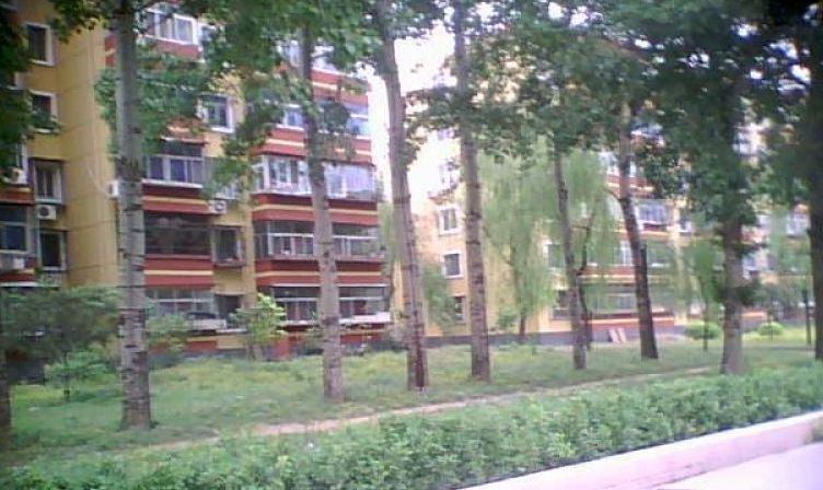 关于北京309医院、大兴区黄牛专业运作住院，解决您排队的烦恼的信息