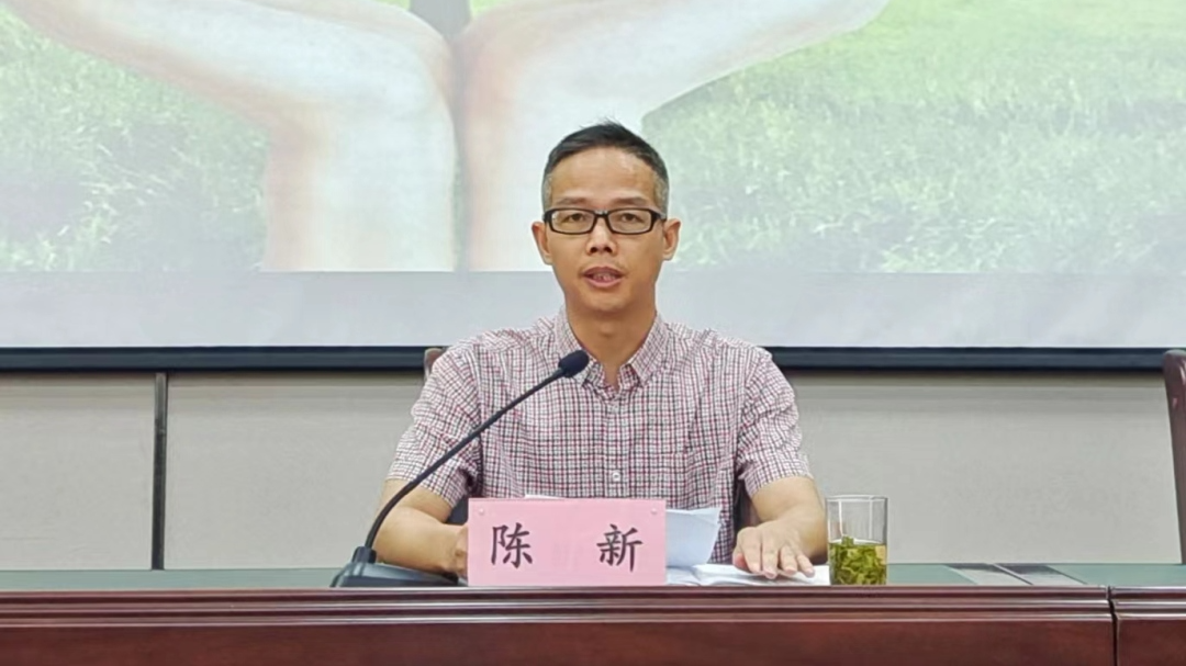 陈新