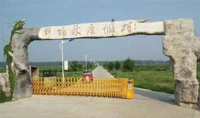 江苏省泗洪县陈圩乡