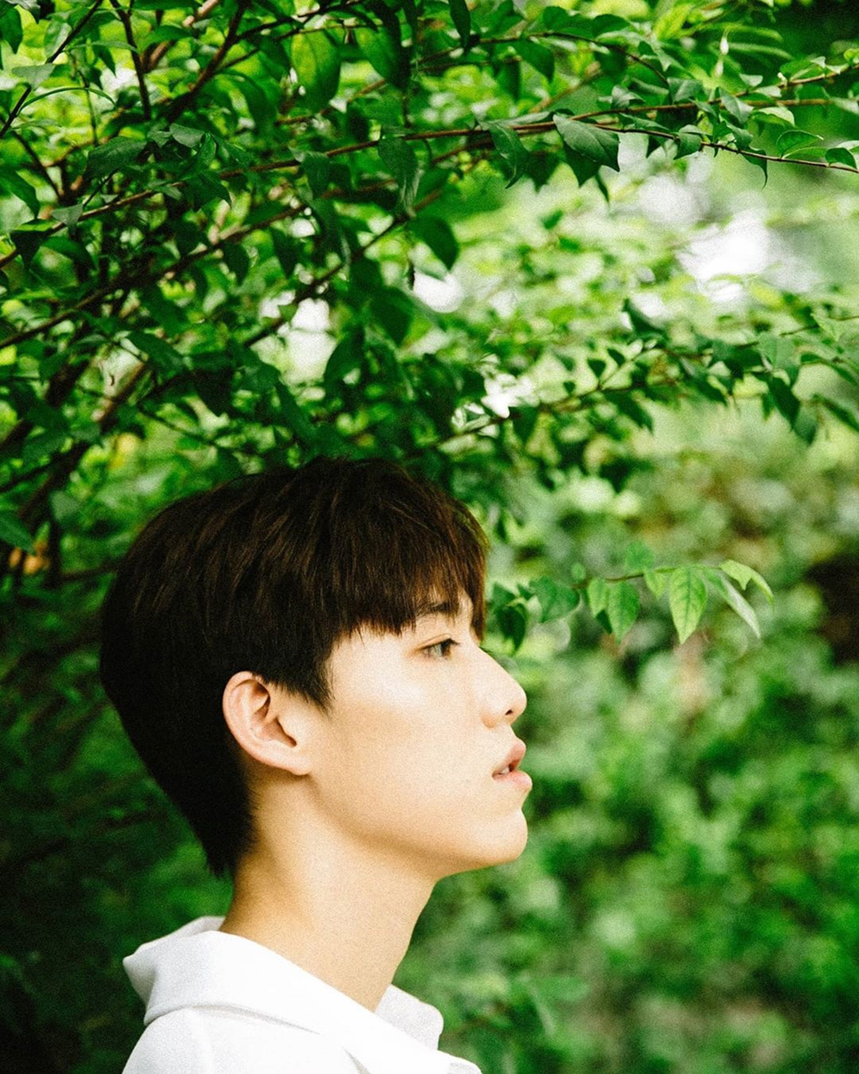  p>克里特·安努艾德奇康(pp),1999年4月30日出生于泰国曼谷,就读于 a