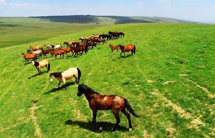  p>乌鲁克萨依乡,隶属于 a target="_blank" href="/item/新疆维吾尔