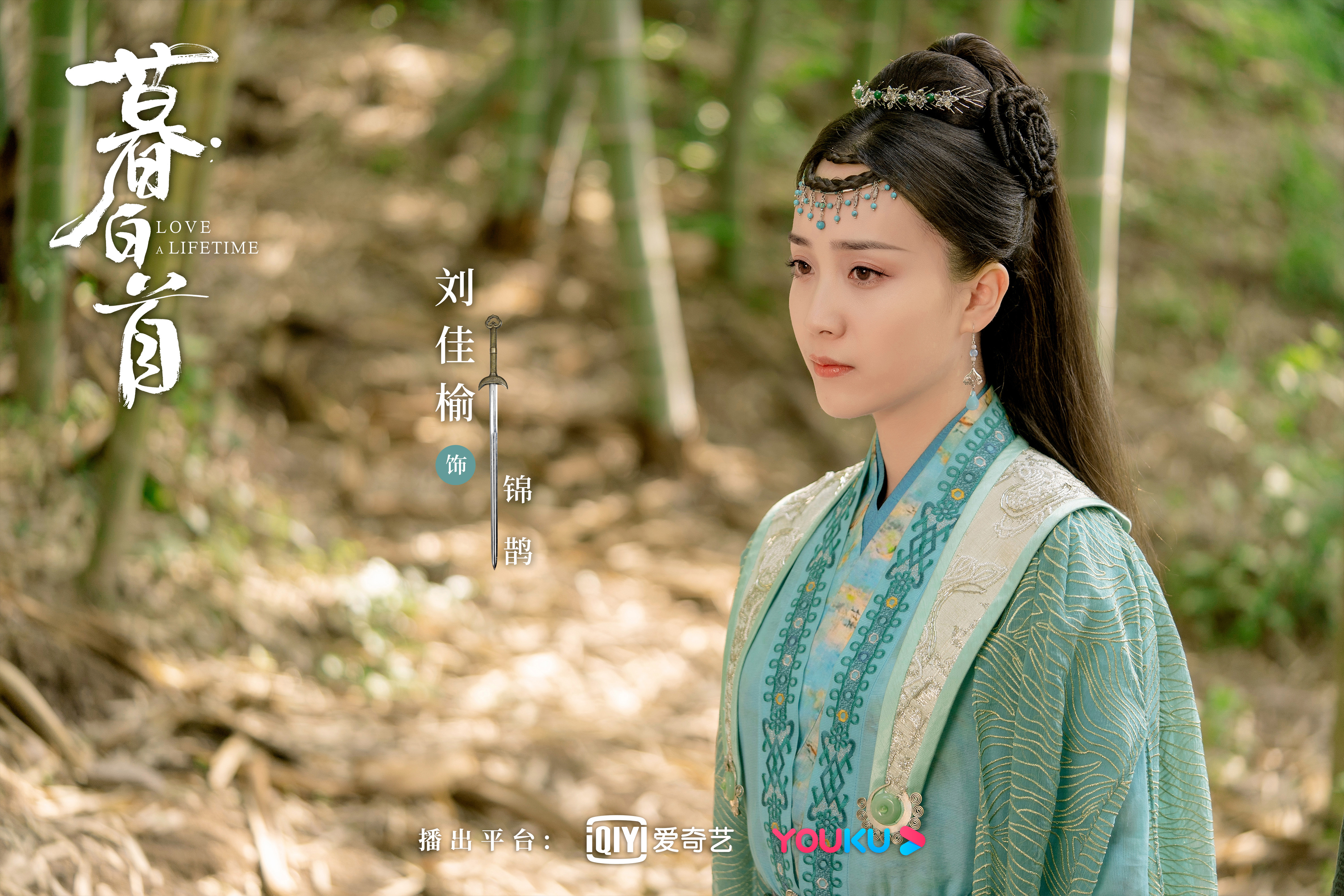 苍雪龙吟暮白首