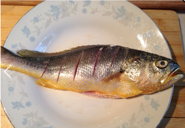  p data-id="gnx5i8h9kv">滁州特产梅鱼又名"梅白鱼",梅鱼亦称梅白鱼