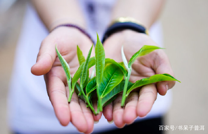 茶诗词：黄庭坚《品令茶词》_百科TA说