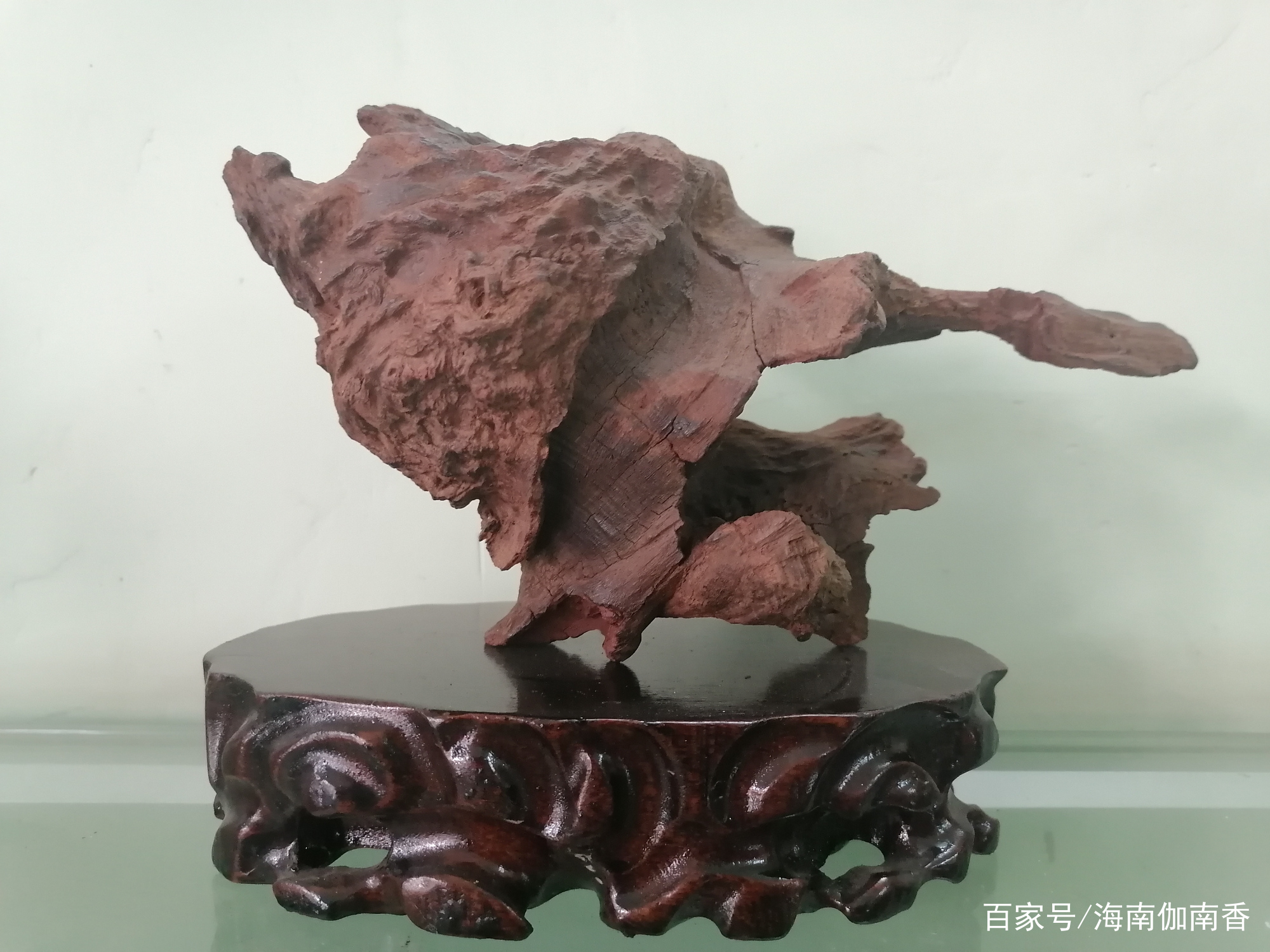 为什么现代人对伽南香的认识如此混乱不堪？_百科TA说