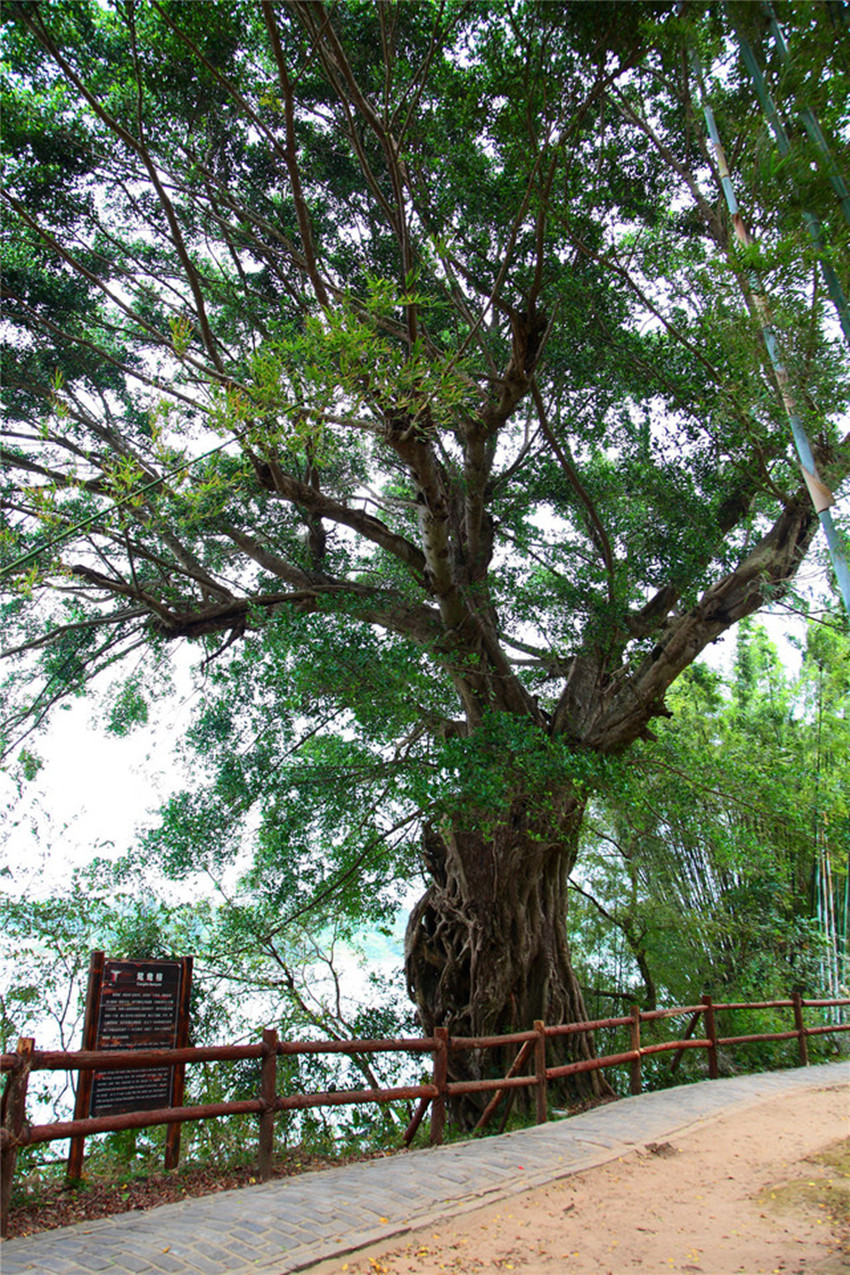 东江画廊风景区