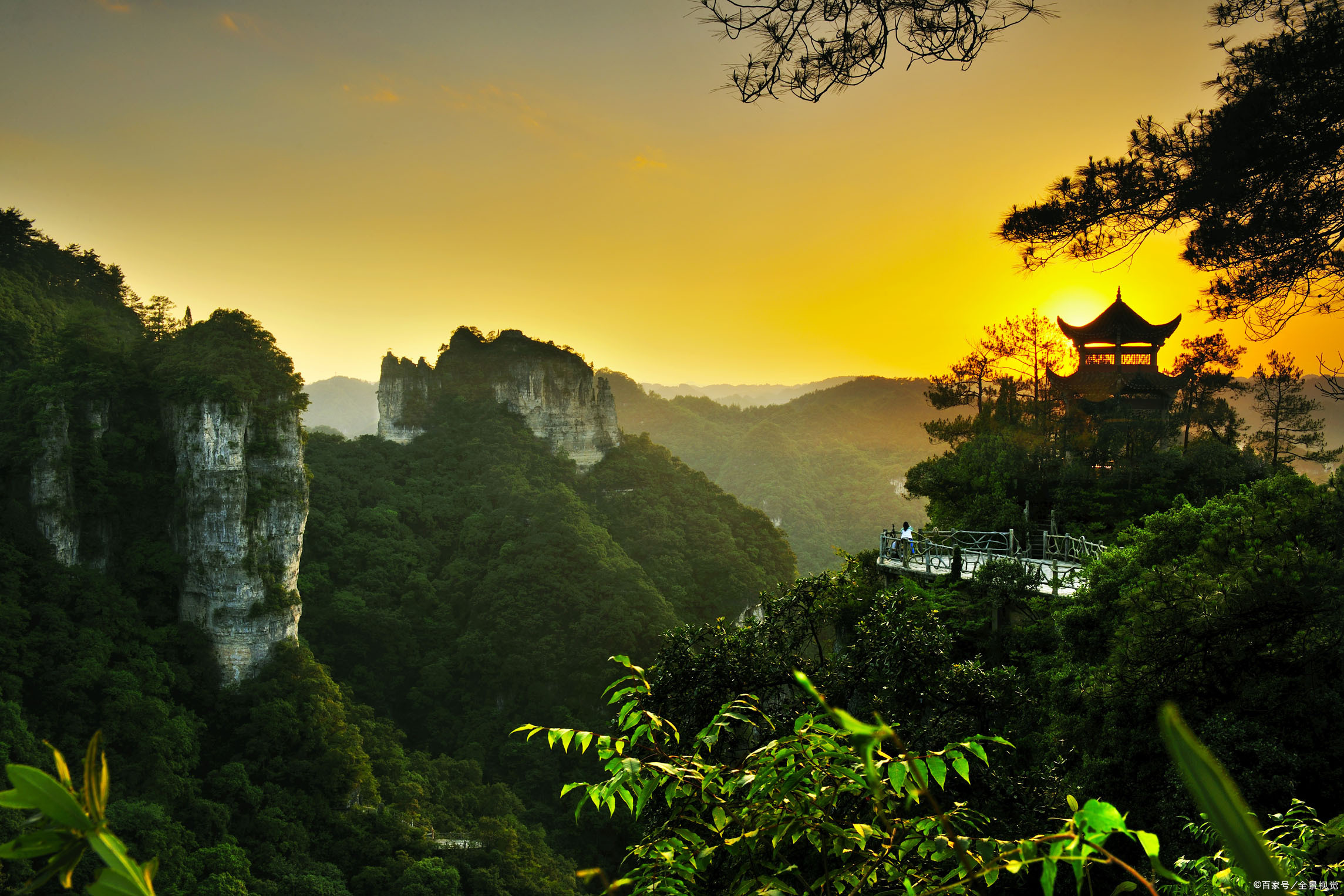 杜甫这首诗，硬是让很多人看了一年多，包括我，你看过没_百科TA说