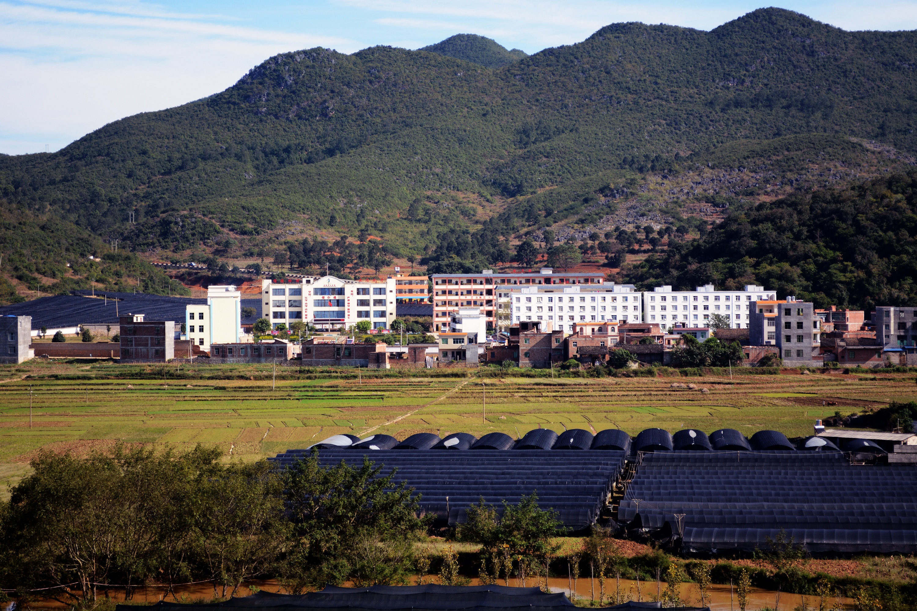  p data-id="gn8axgfbmj">昔板村是云南省文山州广南县旧莫乡的一个