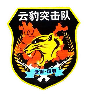 云豹突击队