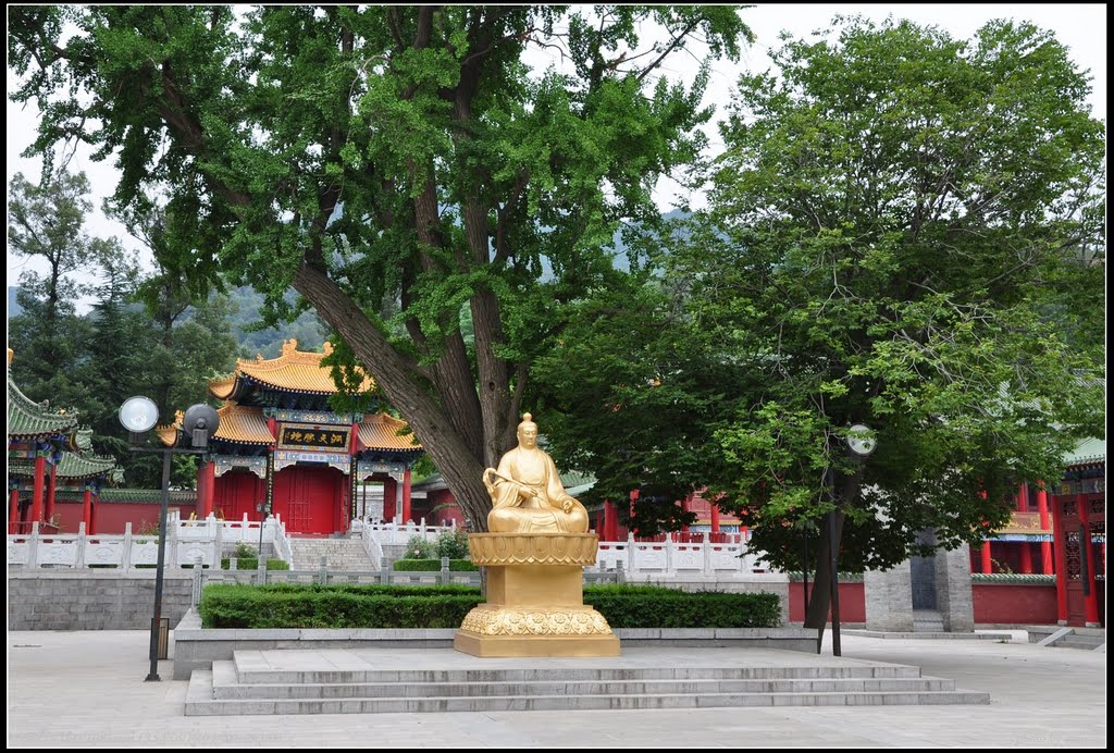 西安楼观台森林公园