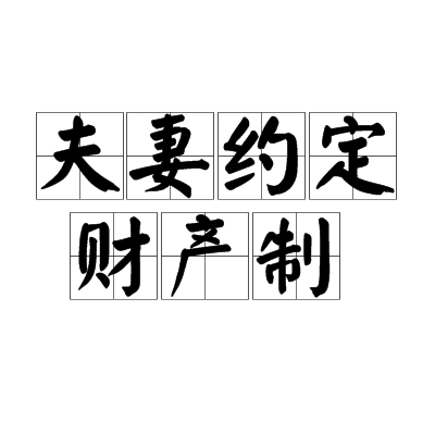 夫妻约定财产制