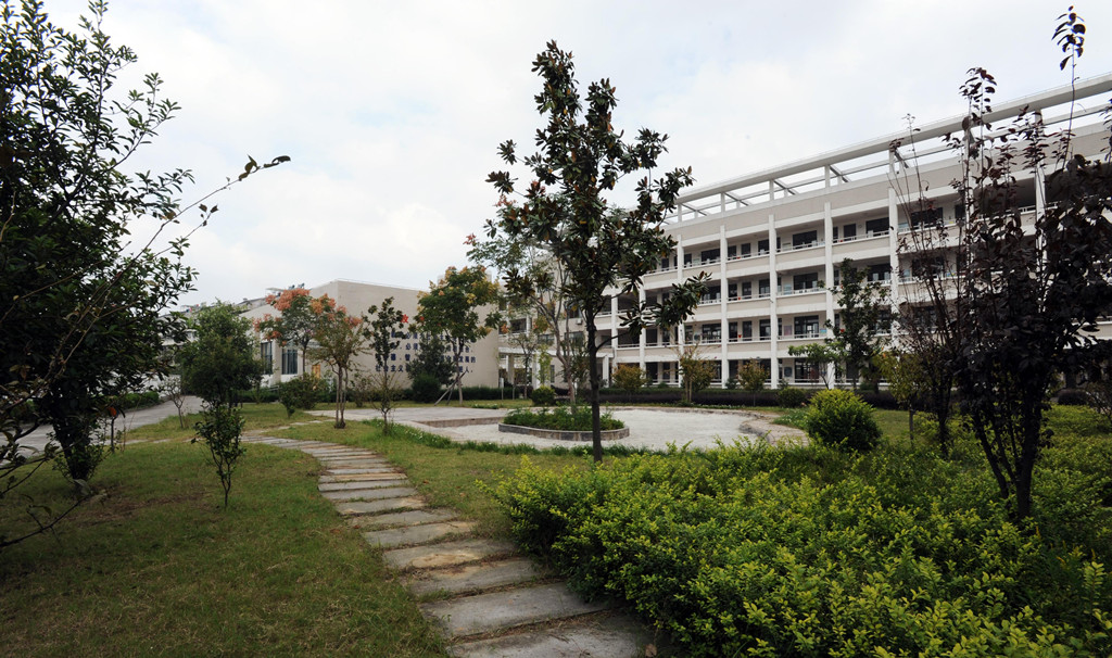 绍兴市越城区灵芝街道中心小学