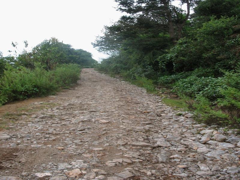 id="2434030">中国四大佛教名山 /a>之一的峨眉山中,是其著名险坡之一