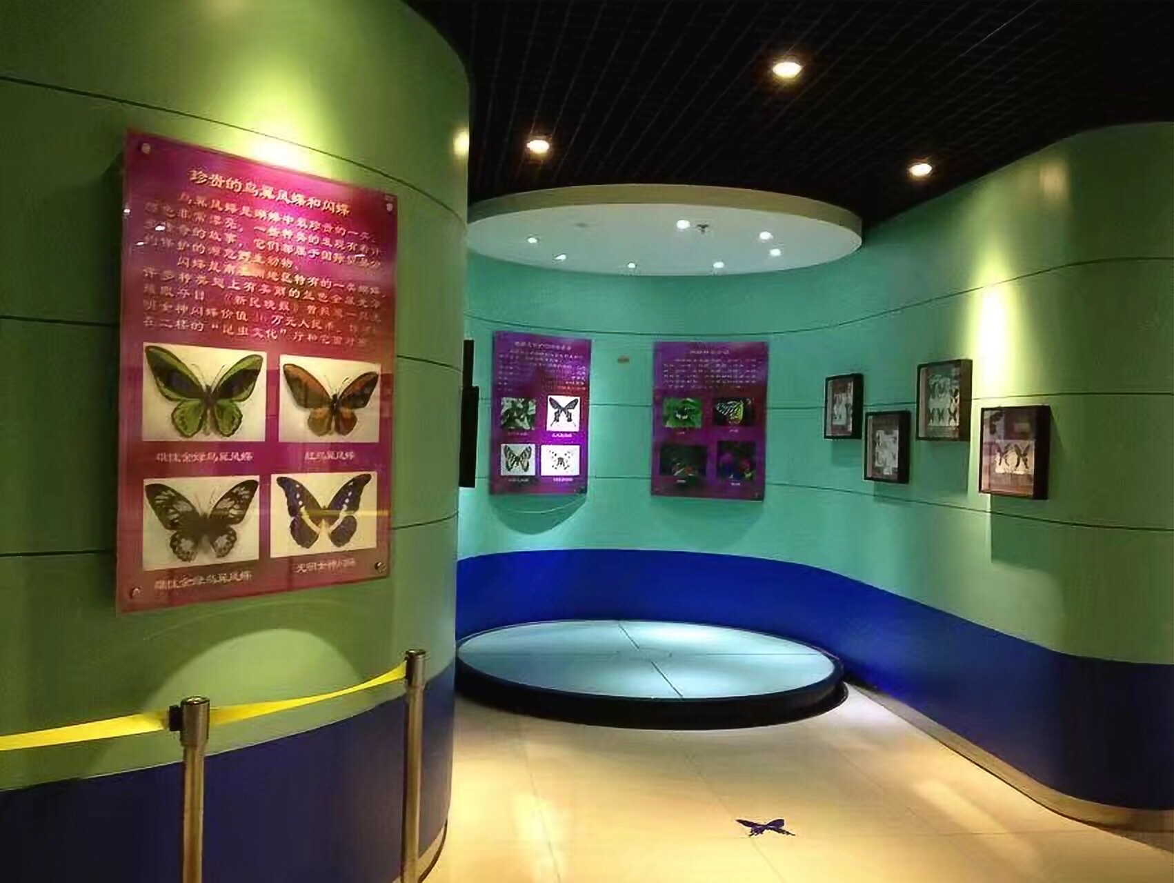  p>上海昆虫博物馆隶属 a href="#" data-lemmaid="4359465">中国科学