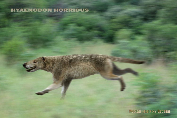  p>恐鬣兽是渐新世时期北美地区一种比较常见的鬣齿兽科掠食者,它们的