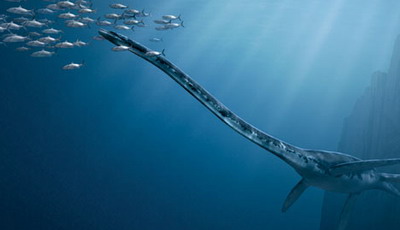  p>蛇颈龙是已灭绝的蛇颈龙属海生爬行类的统称,属双孔亚纲鳍龙目,是