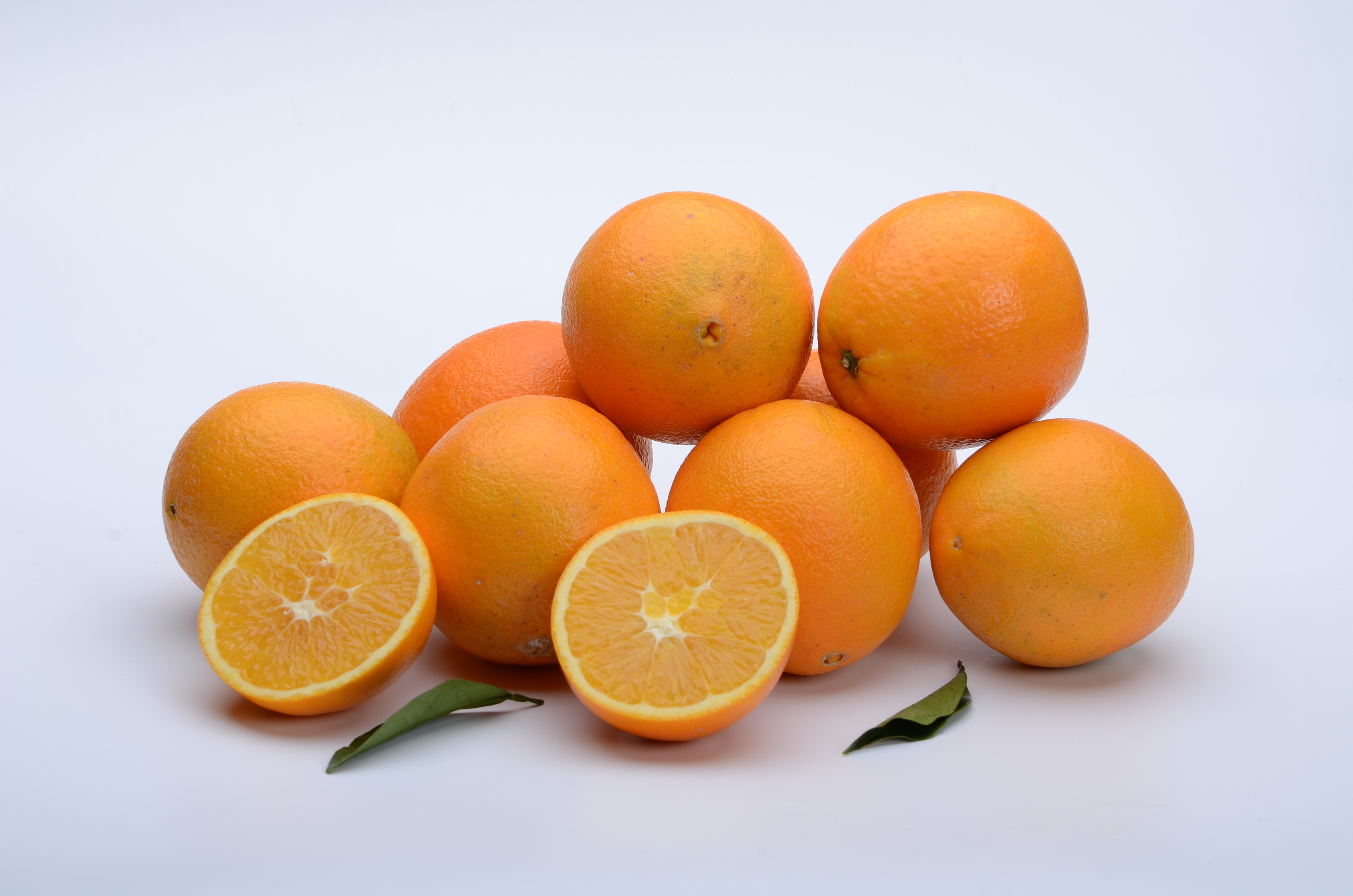 脐橙最早的品种华盛顿脐橙是1870年由巴西的有核塞来他甜橙的枝变而来