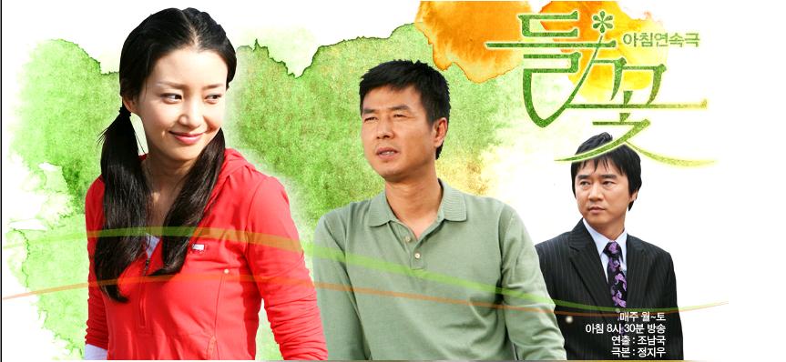 坚强的野花