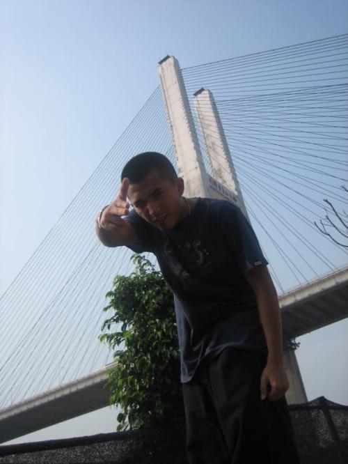 段博文