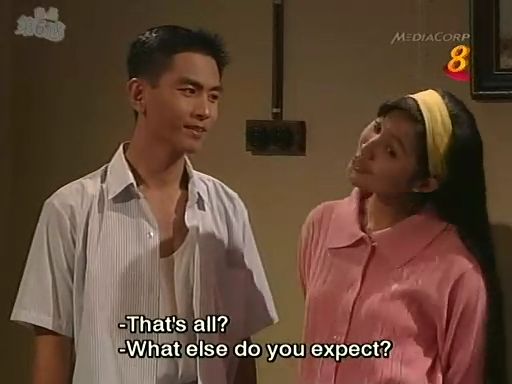 《潮州家族》(t,he teochew family)是新加坡电视机构(今新传媒私人