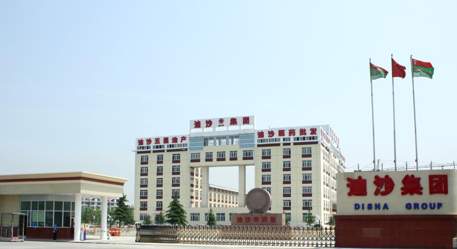 迪沙药业集团