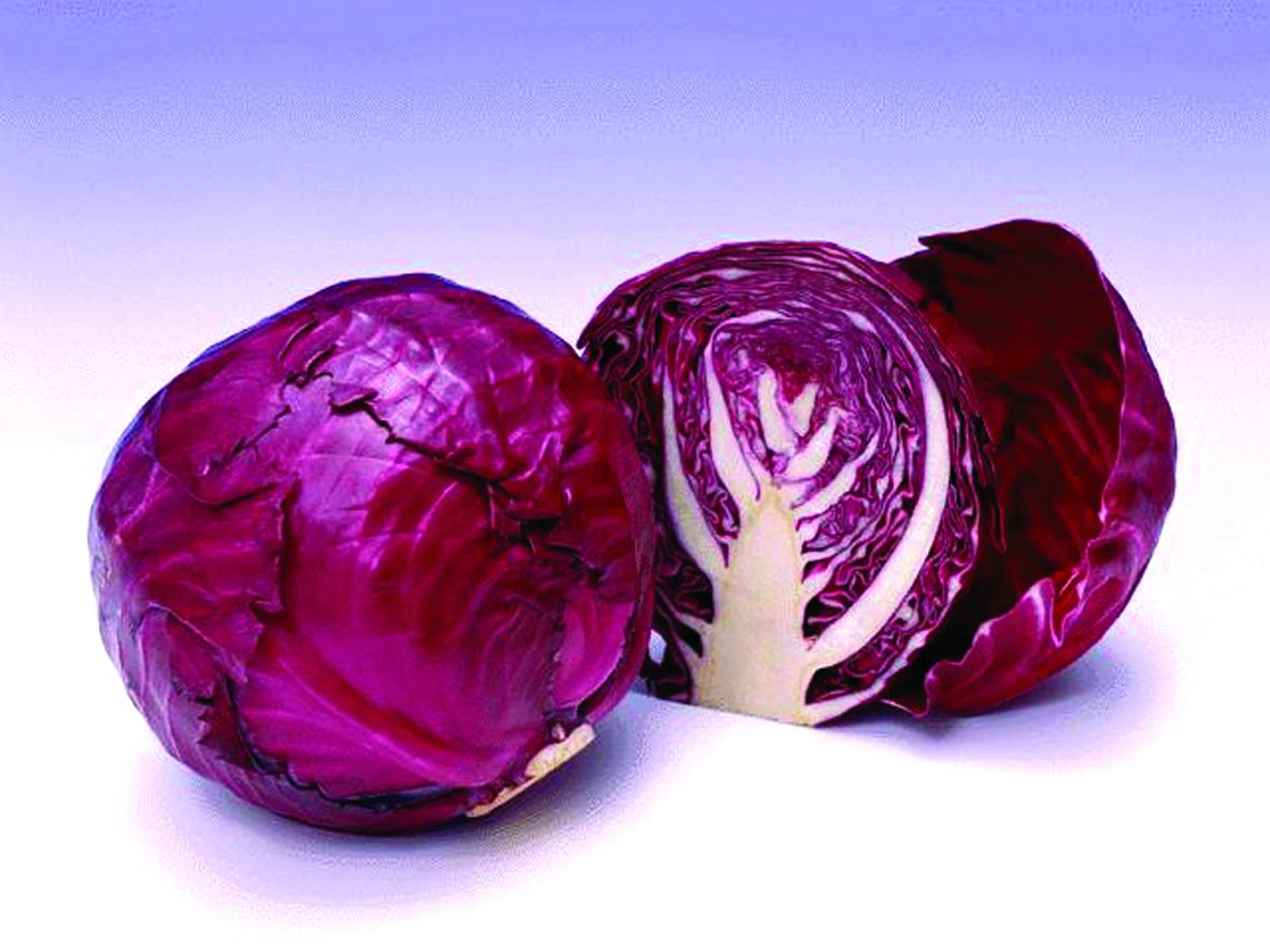 红色包心菜