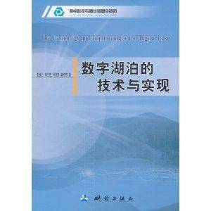 数字湖泊的技术与实现_百度百科