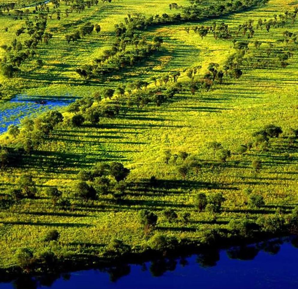 黑龙江三江自然保护区