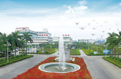 东莞市第八人民医院