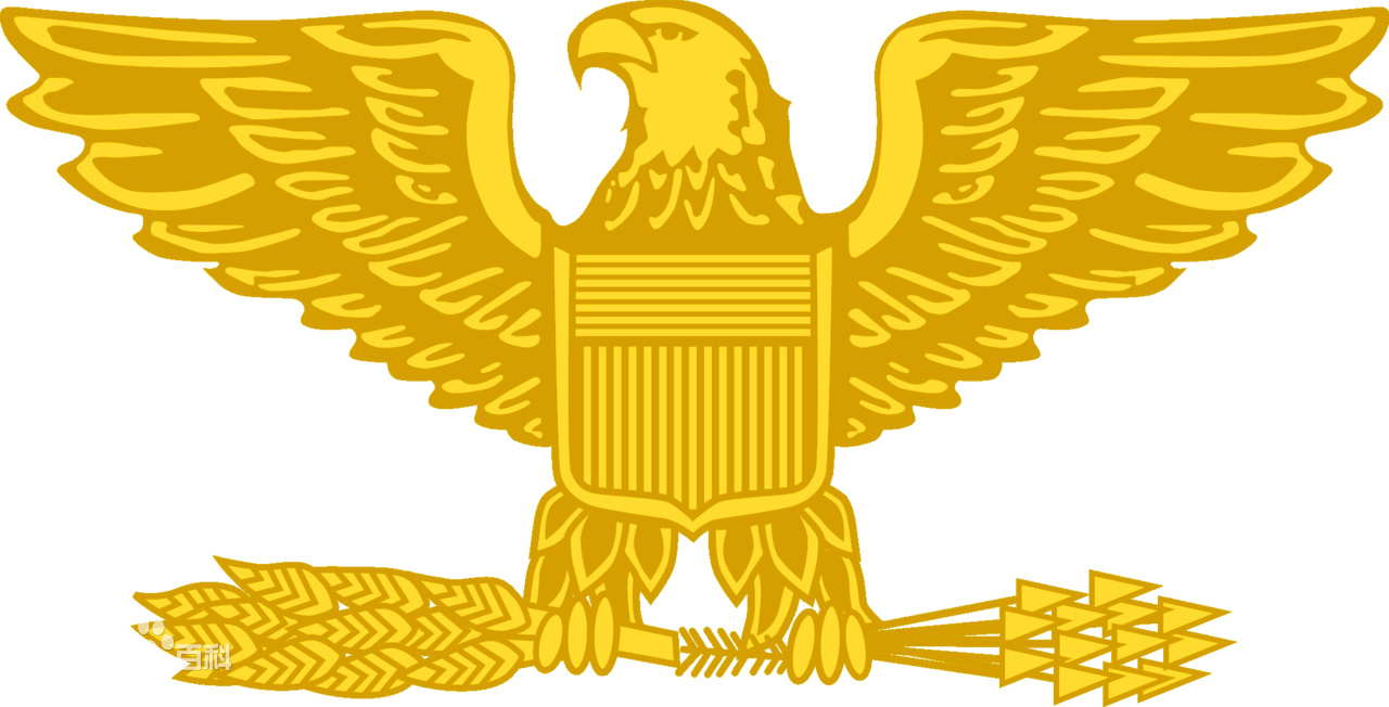  p> b>纽约市警察局 /b>(亦称 b>纽约警察局 /b>; a href="#">英文 /a