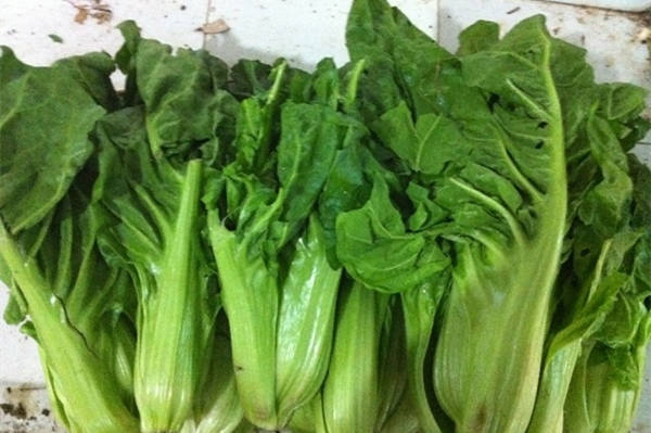  p>绿叶菜是一类主要以鲜嫩的绿叶,叶柄和嫩茎为产品的 a target="