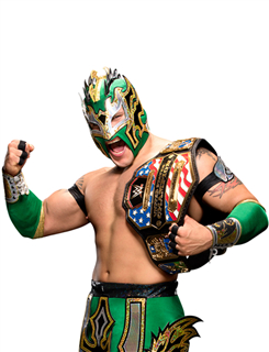 p data-id="gn2wdnefph">kalisto(卡利斯托),美国 a target="_blank"