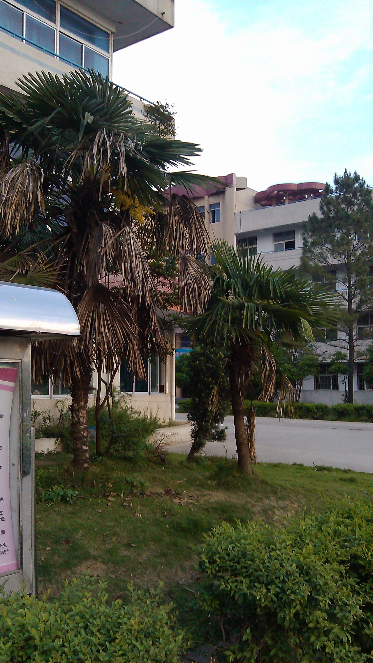  p>凤台县第十中学,又名 b>凤台十中 /b>,位于安徽省淮南市 a href="