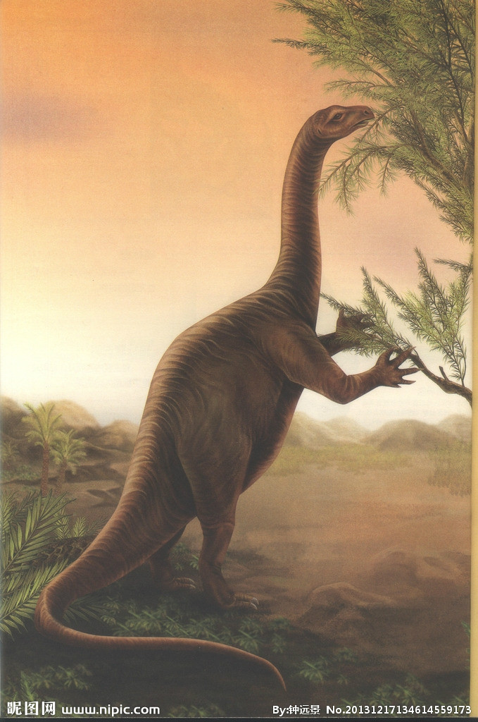  p>板龙是最古老的 a target="_blank" href="