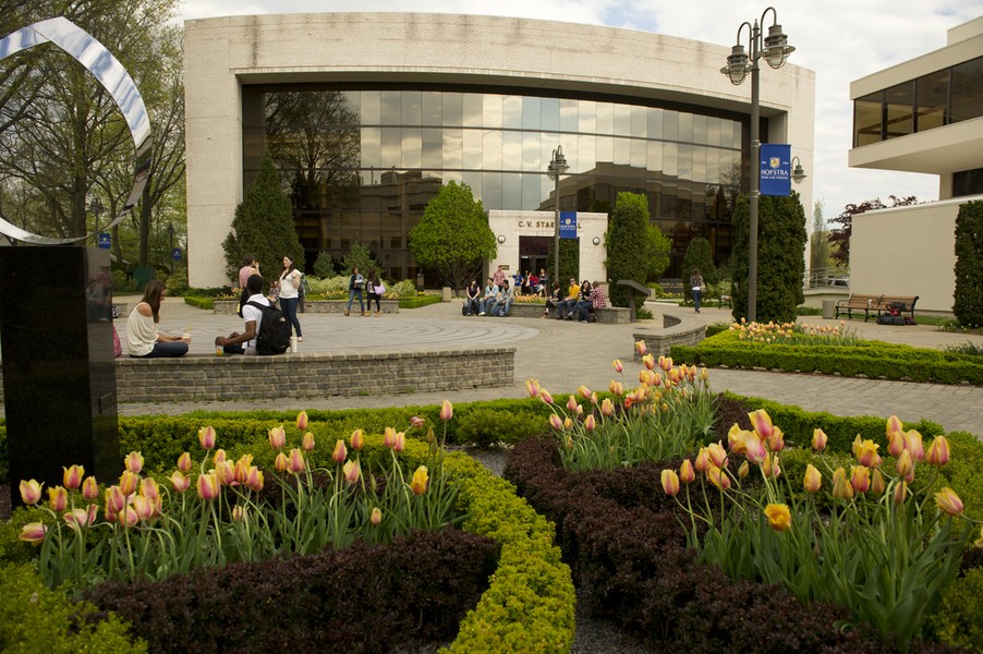 hofstra university
