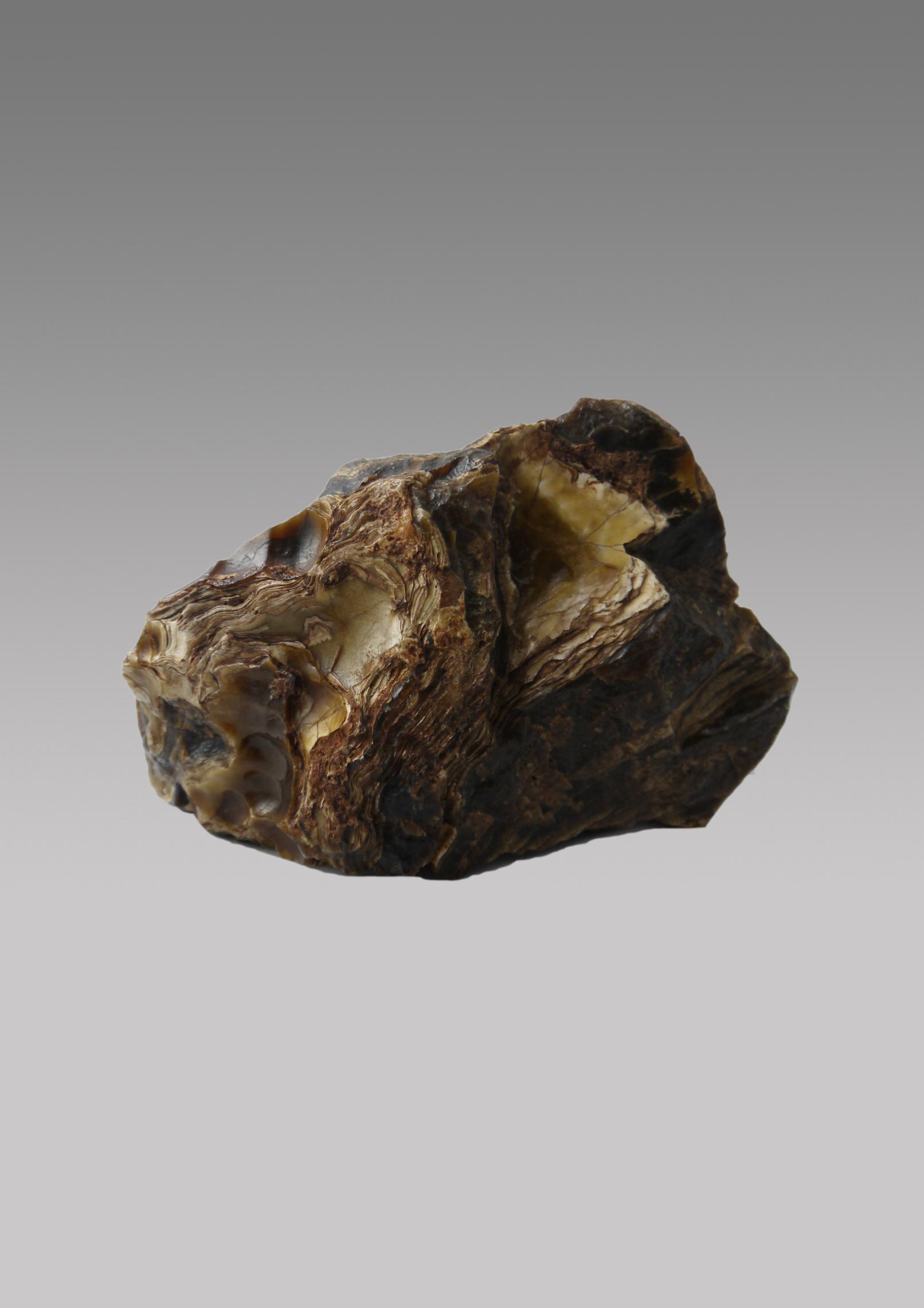 广州尊藏展览有限公司