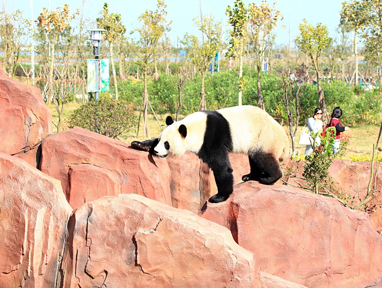 盐城大丰港动物园