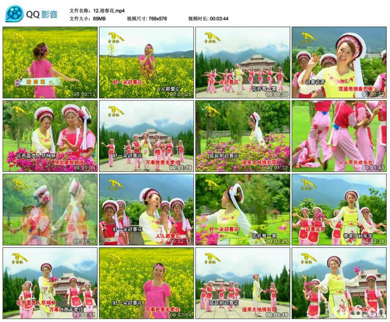 迎春花歌曲(迎春花歌曲是哪年的)