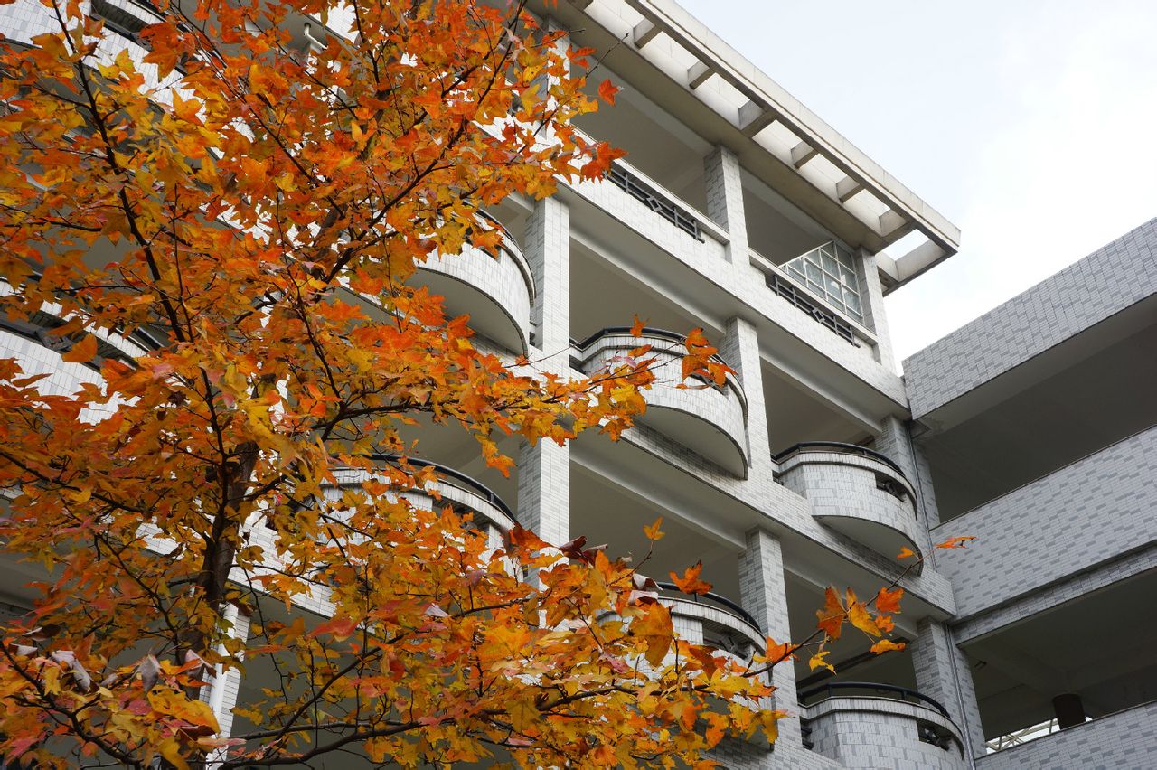  p>杭州市 a target="_blank" href="/item/源清中学">源清中学 /a>建