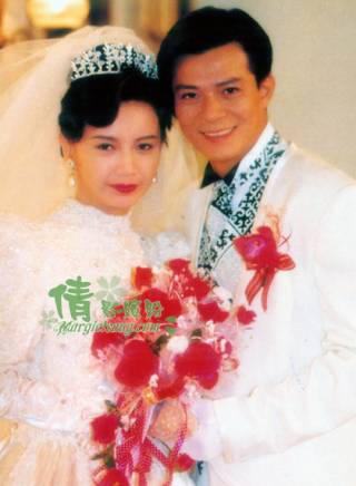 银狐1993饰演宋泽元主演黄日华,吕颂贤,曾华倩赌神秘笈·赌魔1993饰演